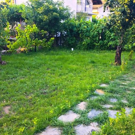 Alpin Guest House Sapareva Banya Buitenkant foto