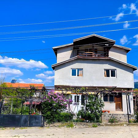 Alpin Guest House Sapareva Banya Buitenkant foto