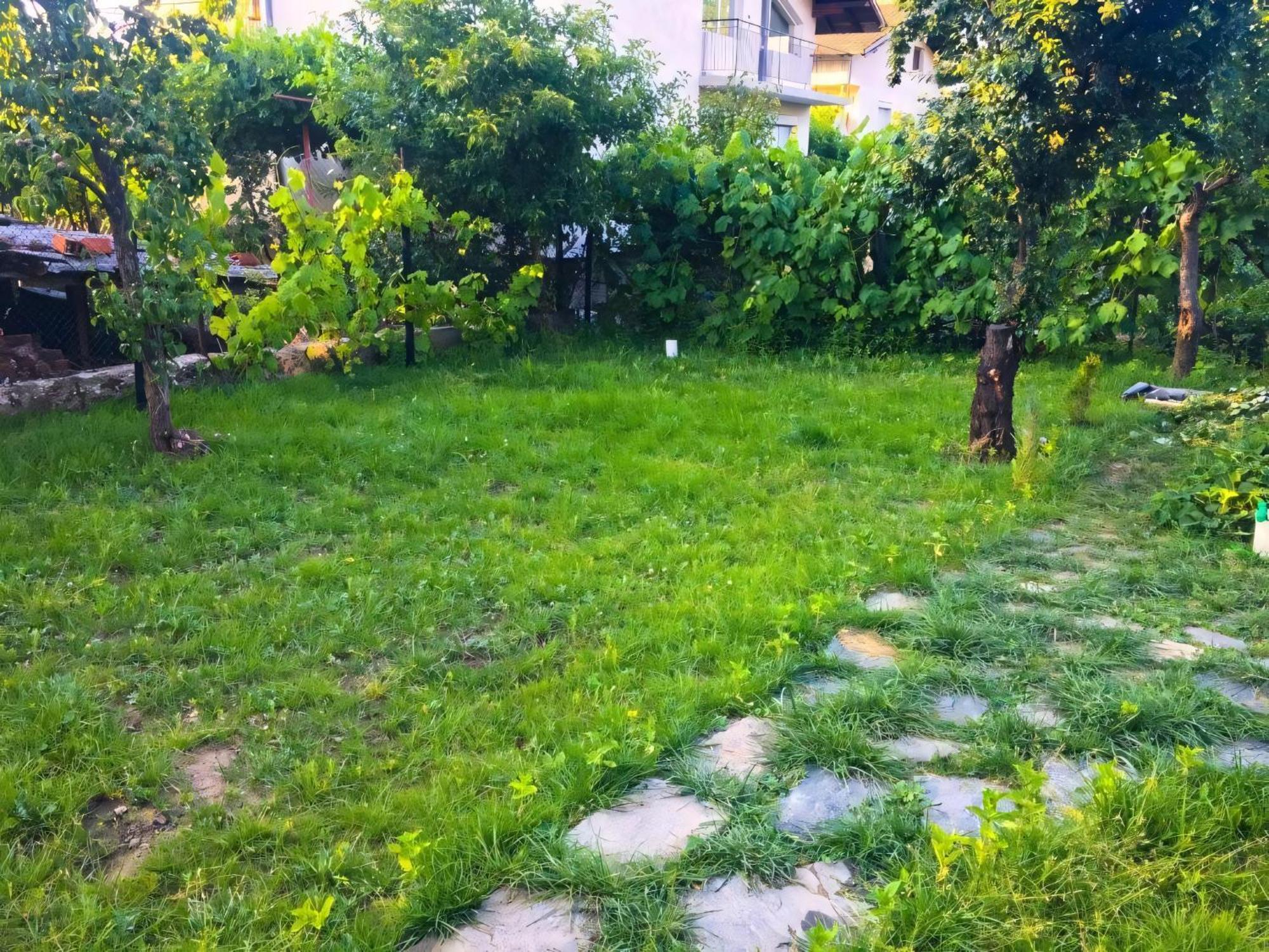 Alpin Guest House Sapareva Banya Buitenkant foto